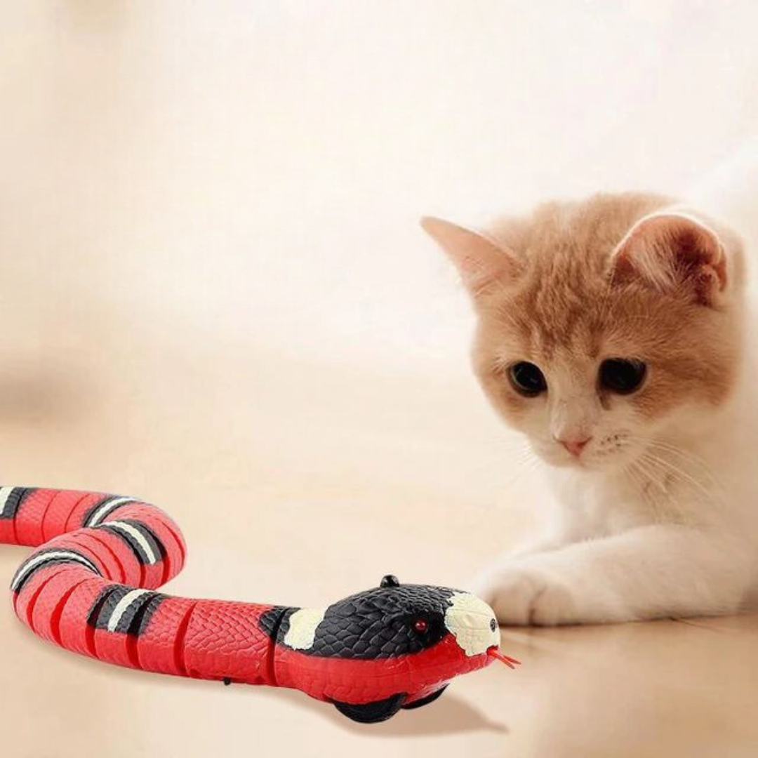 Snakey - Interactive Cat Toy –