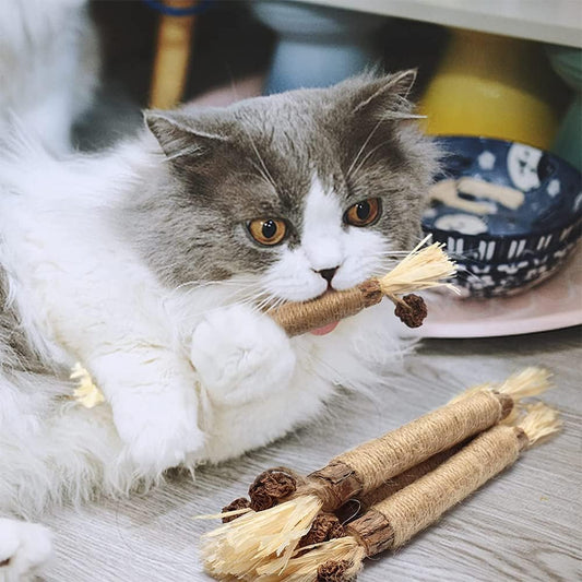 KittySticks™ - Tooth-Cleaning Toy for Cats