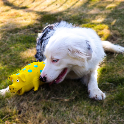 Grunting Pig - Dog Toy