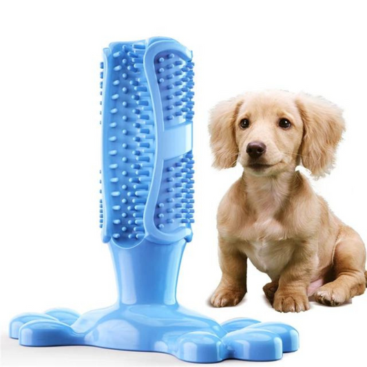 CleanTeeth - Dog Tooth Cleaning Toy