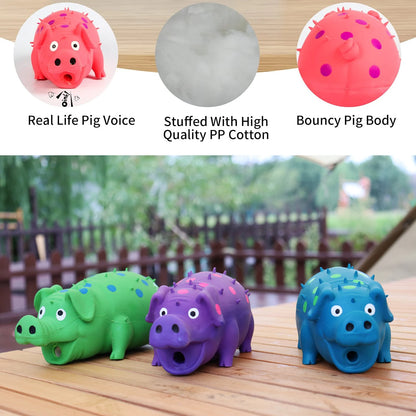 Grunting Pig - Dog Toy