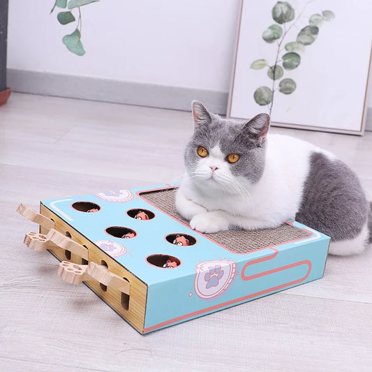 MultiBox - 3-In-1 Cat Box Game