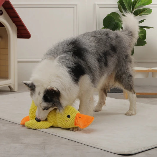 DuckBuddy - Plush Dog Toy