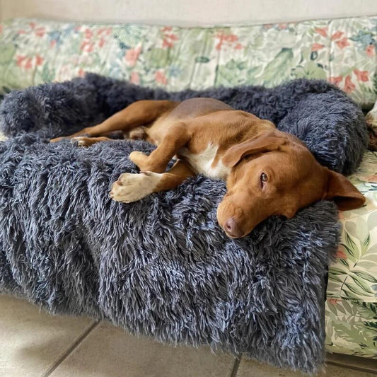 CozyPaws Deluxe - Washable Plush Pet Sofa Cushion