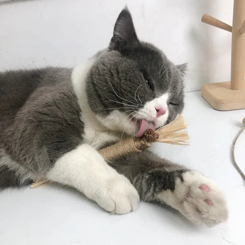 KittySticks™ - Tooth-Cleaning Toy for Cats