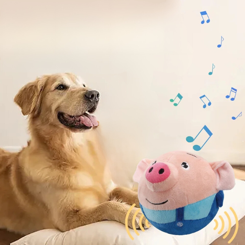 Bouncing Pig - Interactive Dog Toy